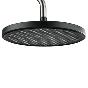 {{photo.Alt || photo.Description || 'Лейка GAPPO G004-26 "Тропический душ" круглая D260, ЧЕРНАЯ'}}