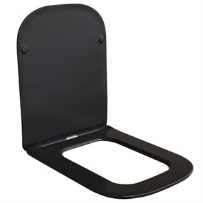 {{photo.Alt || photo.Description || 'Сиденье для унитаза  WAVE QUADRO дюропласт, микролифт ЧЕРНЫЙ матовый'}}