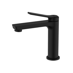 {{photo.Alt || photo.Description || 'Смеситель для раковины 25к IDDIS PARBL00i01 "Parker" литой, под шпильку, ЧЕРНЫЙ матовый'}}