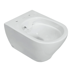 {{photo.Alt || photo.Description || 'Унитаз подвесной "Breeze" безободковый (сид. дюро м/лифт, clip up, скрытое крепл) (Sanita Luxe)'}}